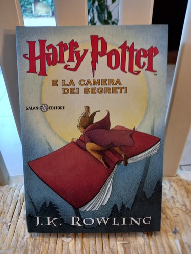 Harry potter camera dei - harry,