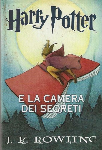 Harry potter camera dei - harry,